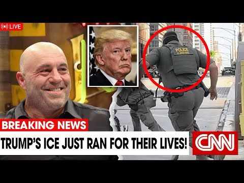 WATCH: New Yorkers Just CHASED Trump’s ICE Out of Manhattan — Joe Rogan Reacts