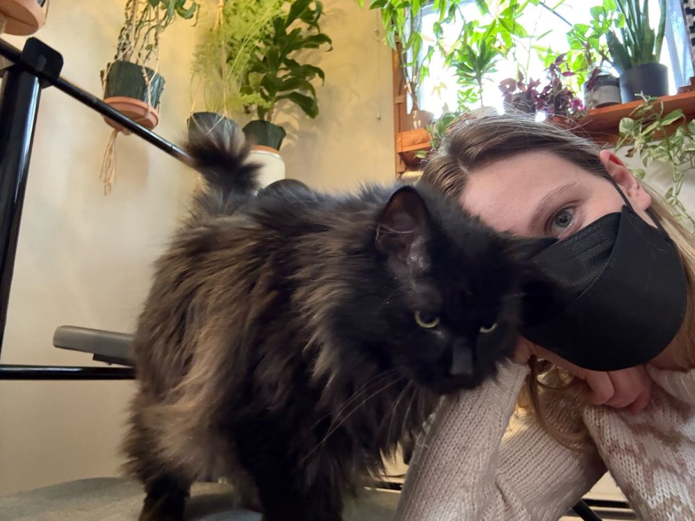A black cat on a bench faces the camera, partially obscuring a woman’s face crouching next to it, wearing a black KN95. There are several house plants lining both walls above them. 