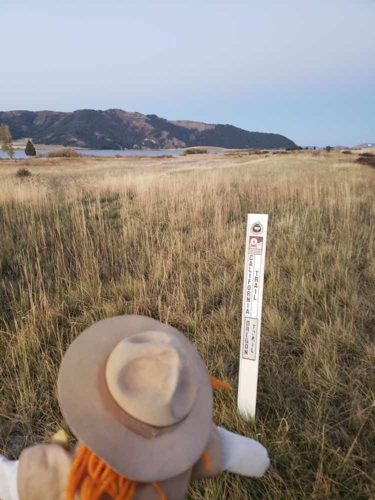 Ranger Sarah checks out the Oregon & California Trail Ruts. The deeper depressions with sloping sides, called swales are hard to see at this angle due to the tall grasses.
— in Soda Springs, ID.

