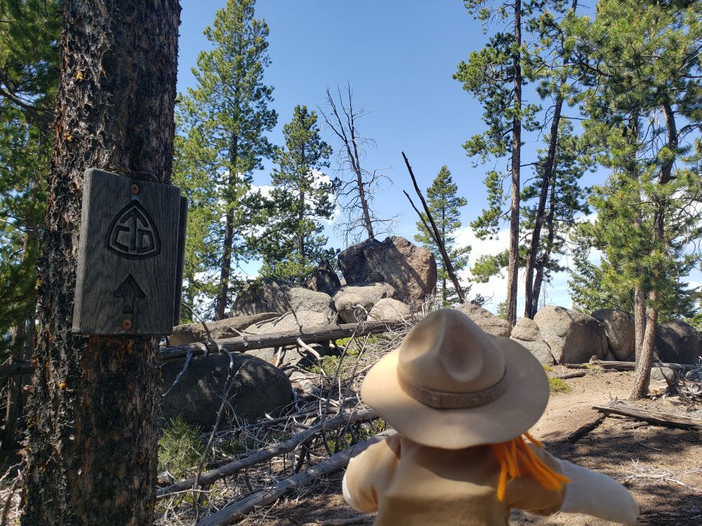 Ranger Sarah likes hiking along trails that lots of interesting things to look at.
— at Continental Divide Trail.
