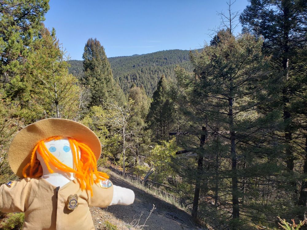 Ranger Sarah takes in the view from the Milwaukee Railroad Trail
— at Thompson Park.
