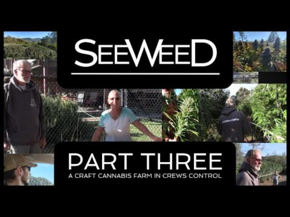 SEEWEED - PART THREE - Mendocino Family Farm