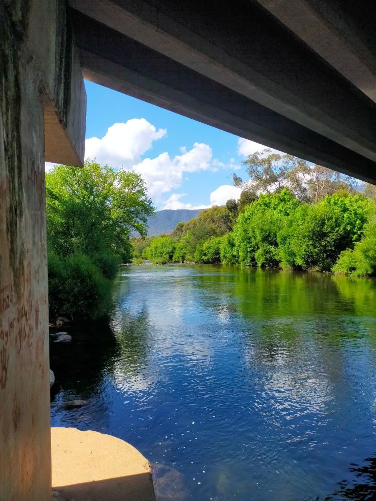 The Kiewa River passing under a bridge. The photo is framed by the bridge top and a pylon. The river is fringed with willows and eucalyptus. In the distance is a mountain. The sky is blue with white clouds