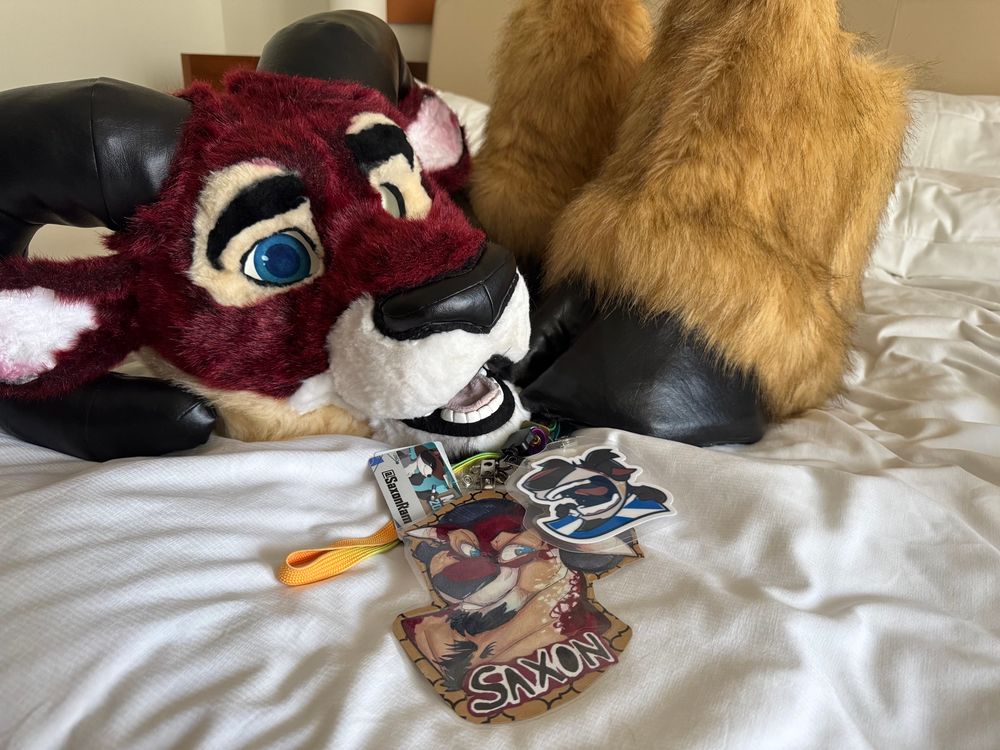 A photo of a partial fursuit, head and hooves, and a set of character badges for “Saxon”