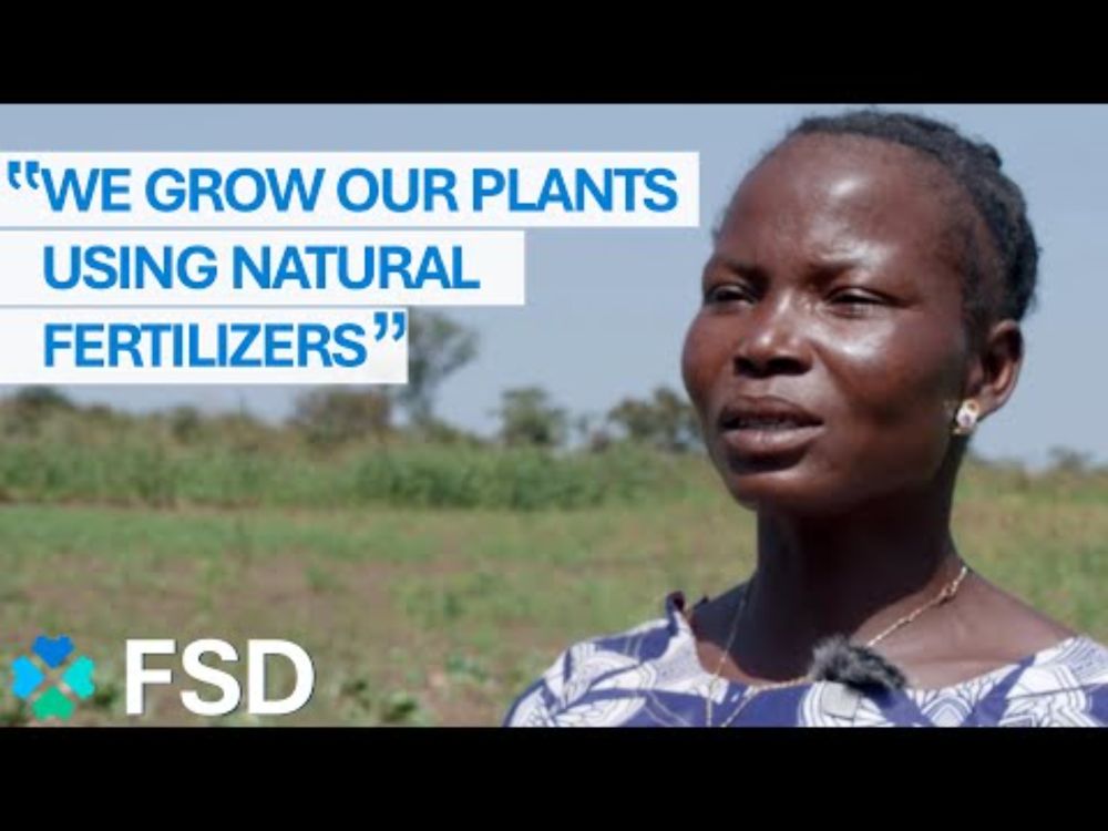 Harvests increased fivefold thanks to a local project in Central African Republic