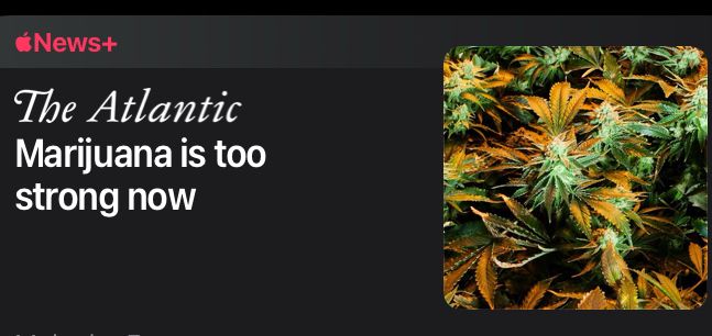 Marijuana is too strong now by Malcolm Ferguson