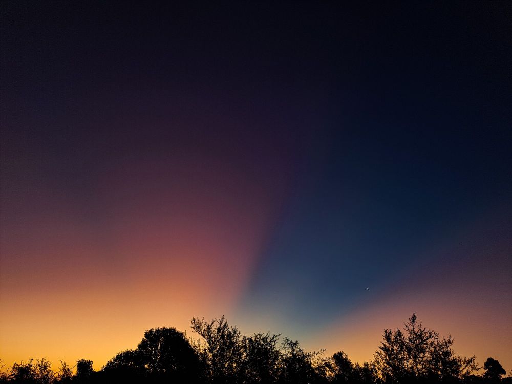 Los últimos rayos de sol causan un gradiente fantástico de colores desde el naranja intenso al rojizo y rosa a medida que avanzan desde el horizonte hasta el cénit, entre las zonas de cielo azul que también tienen un gradiente de color entre el azul claro al azul intenso y al negro nocturno a la derecha, se puede ver la luna en fase creciente, la línea del horizonte está cubierta por la silueta de múltiples árboles y arbustos que forman un bosque nativo.