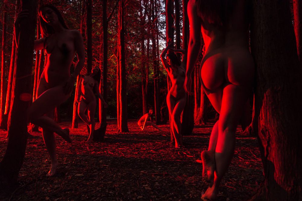 Amelia nude in a wooden area. 