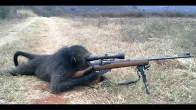 Sniper monkey taking me out before I can answer the quoted post