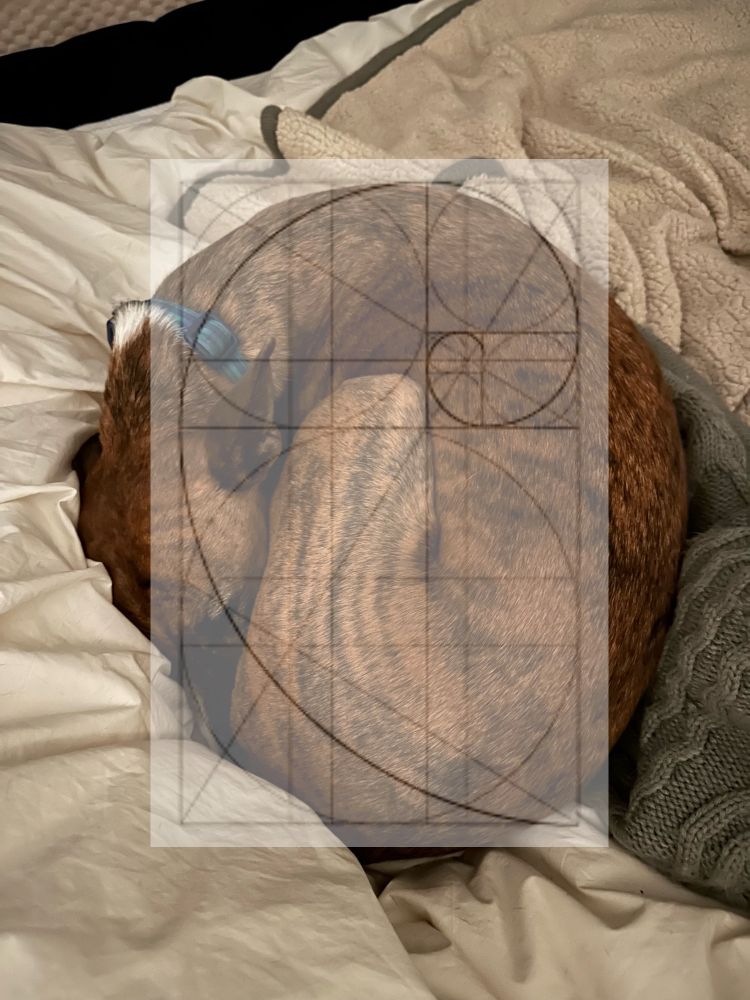 Comment image