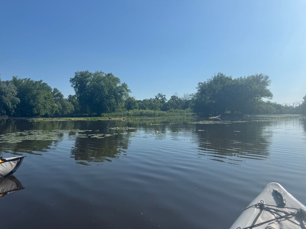 A somewhat blurry and hazy phone photo from inside a waterproof case showing the front of two kayaks on water. The water is littered with Lilly pads in the mid distance with trees and tall grass from land just beyond those. You can see the water continues off in the distance on the right side of the photo.