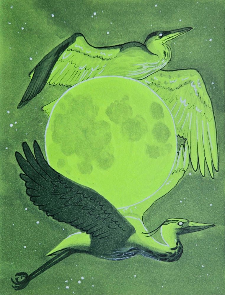 A drawing of two herons in flight, between them is the moon. Drawn on lime green paper
