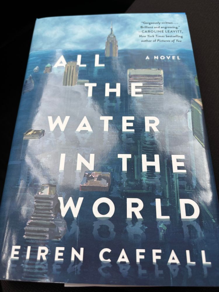 All the Water in the World by Eiren Caffall