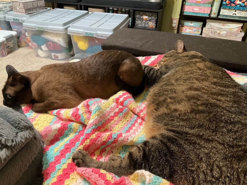 They’ve reconciled, although Mercury is still tense.  Puddin is asleep 