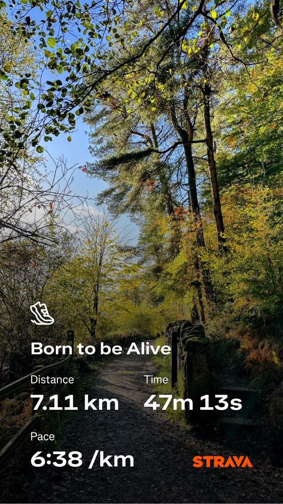 Strava running stats against a photo a path through the woods on a bright sunny morning.