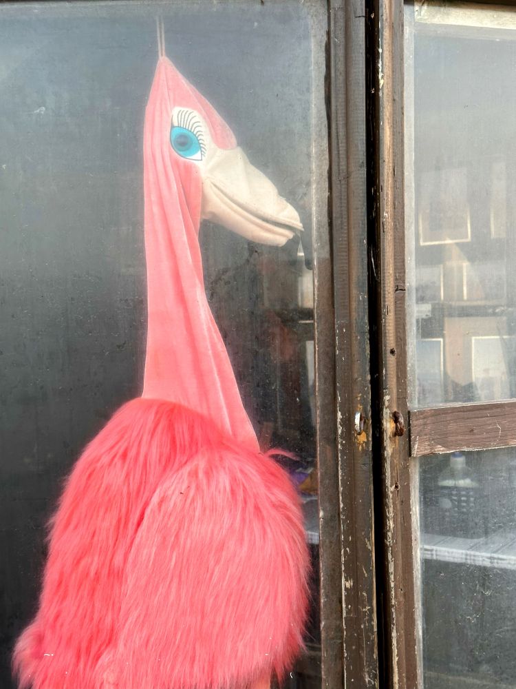 A fluffy pink bird (costume?) hanging in the window of a hut.