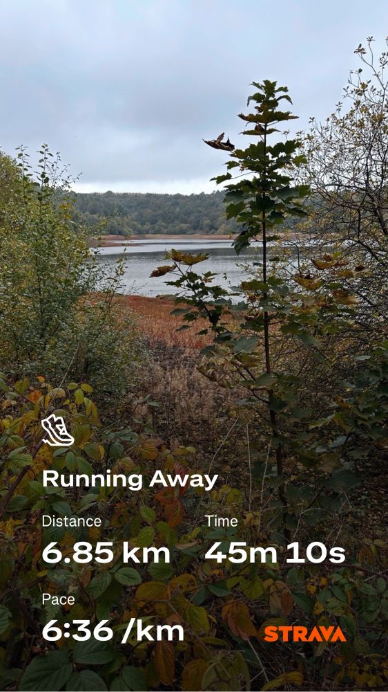 Strava running stats against a photo of a lake glimpsed through trees and hedgerows.