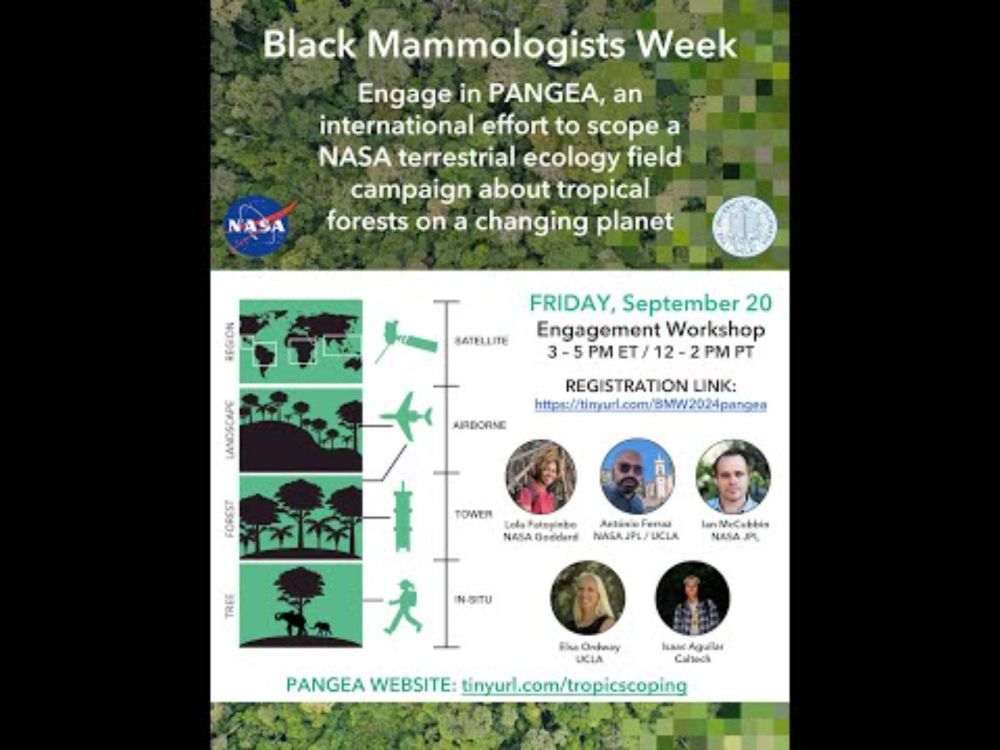 Black Mammalogists Week: PANGEA Workshop