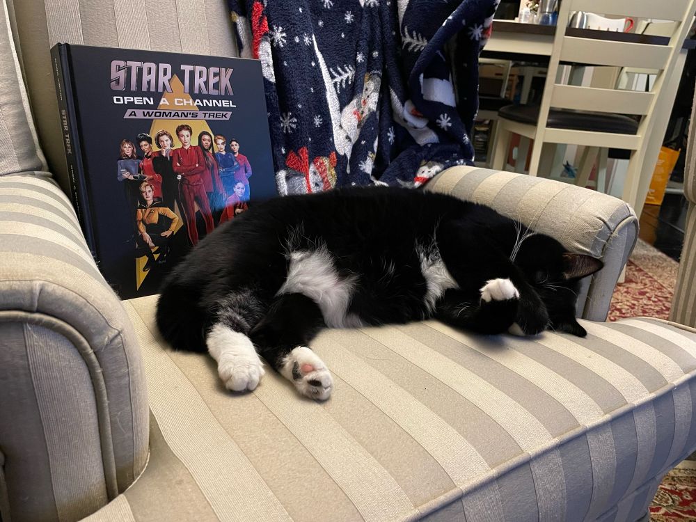 A black and white cat sleeps with her paws crossed on a striped chair with a blue holiday blanket behind her and a large book about Star Trek women leaders beside her