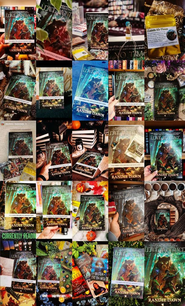 Covers of "Leave No Trace" by Randee Dawn as featured in social media.