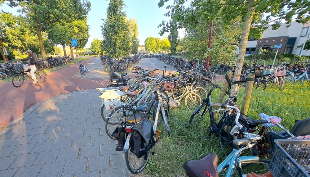 Fietsenzee in de berm