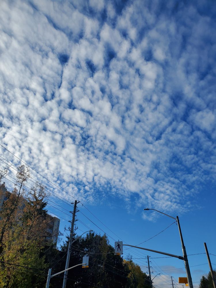 Blue sky with speckled white clouds.  Building trees and streetlights visible in bottom of image.  
