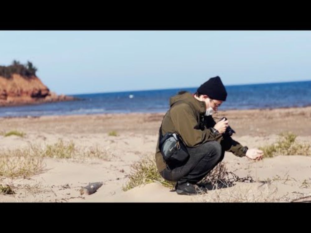 Makoto Yukimura's Journey to Vinland (Prince Edward Island)
