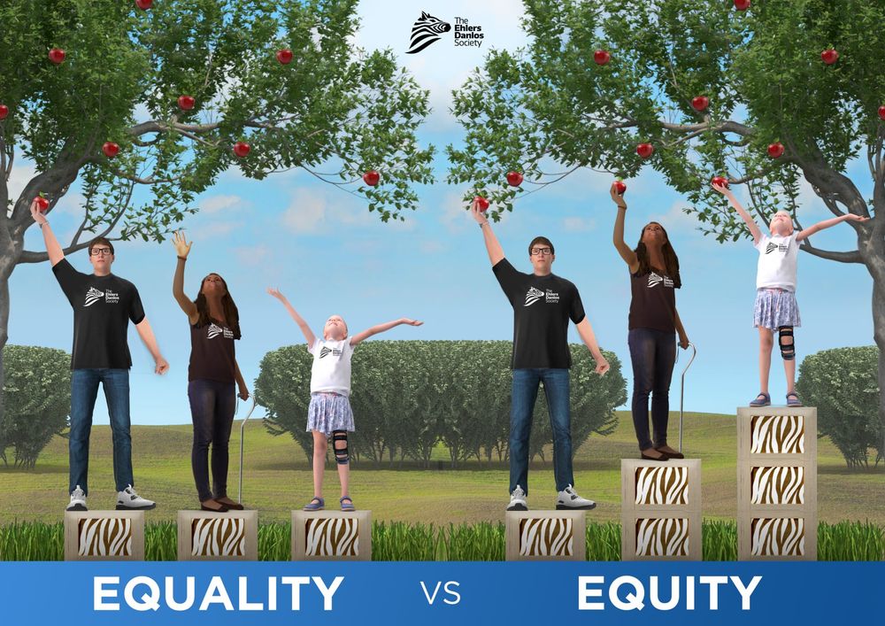 A digital illustration compares equality vs. equity using three individuals of different heights and abilities reaching for apples on a tree. On the left, labeled "Equality," all three individuals stand on identical platforms, but the shortest person and the person with a mobility aid still cannot reach the apples. On the right, labeled "Equity," each person is given a different number of platforms based on their individual needs, allowing all of them to reach the apples. The image is branded with The Ehlers-Danlos Society’s logo, reinforcing the message of fairness in healthcare access for people with rare diseases.

