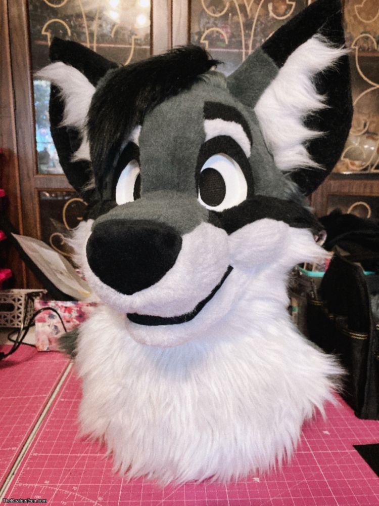 Preview
