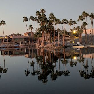 palm trees along the river reflected in the water.