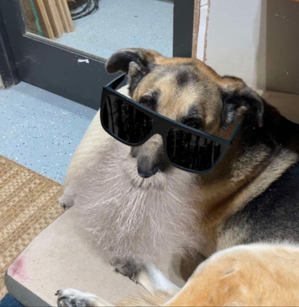 Gsd in zz top filter