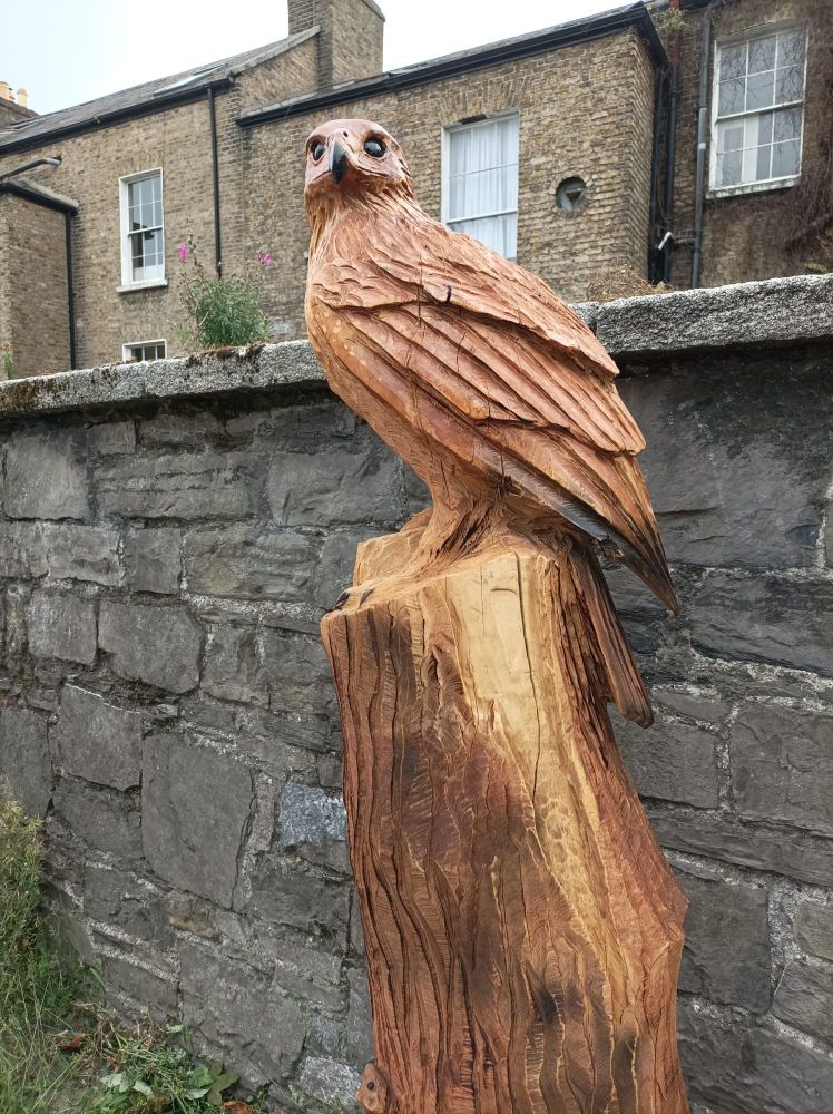 A hawk carved from the stump