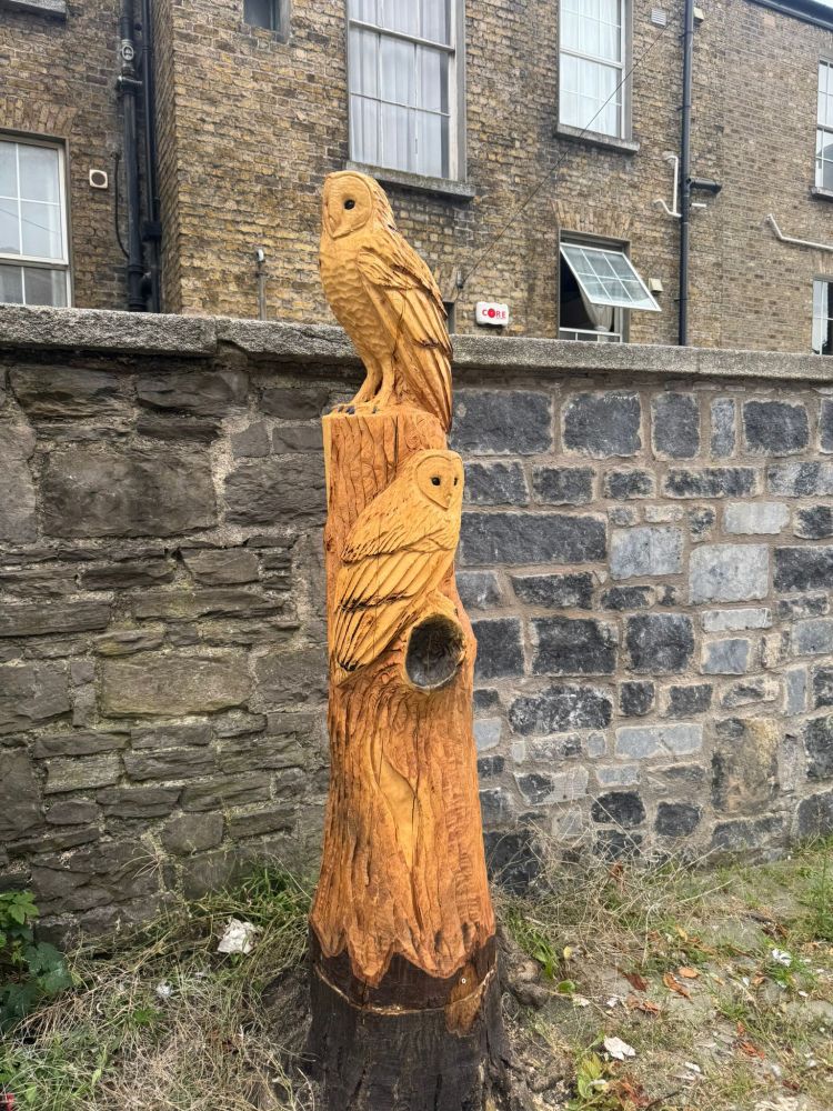 Owls carved from tree stump 