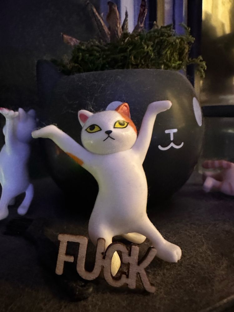 Cat figurine with a little sign that says fuck.