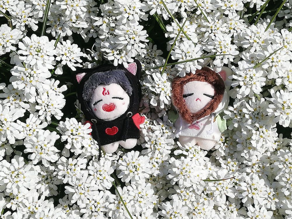 Photograph with Bingqiu plushies sitting in a bunch of white flowers