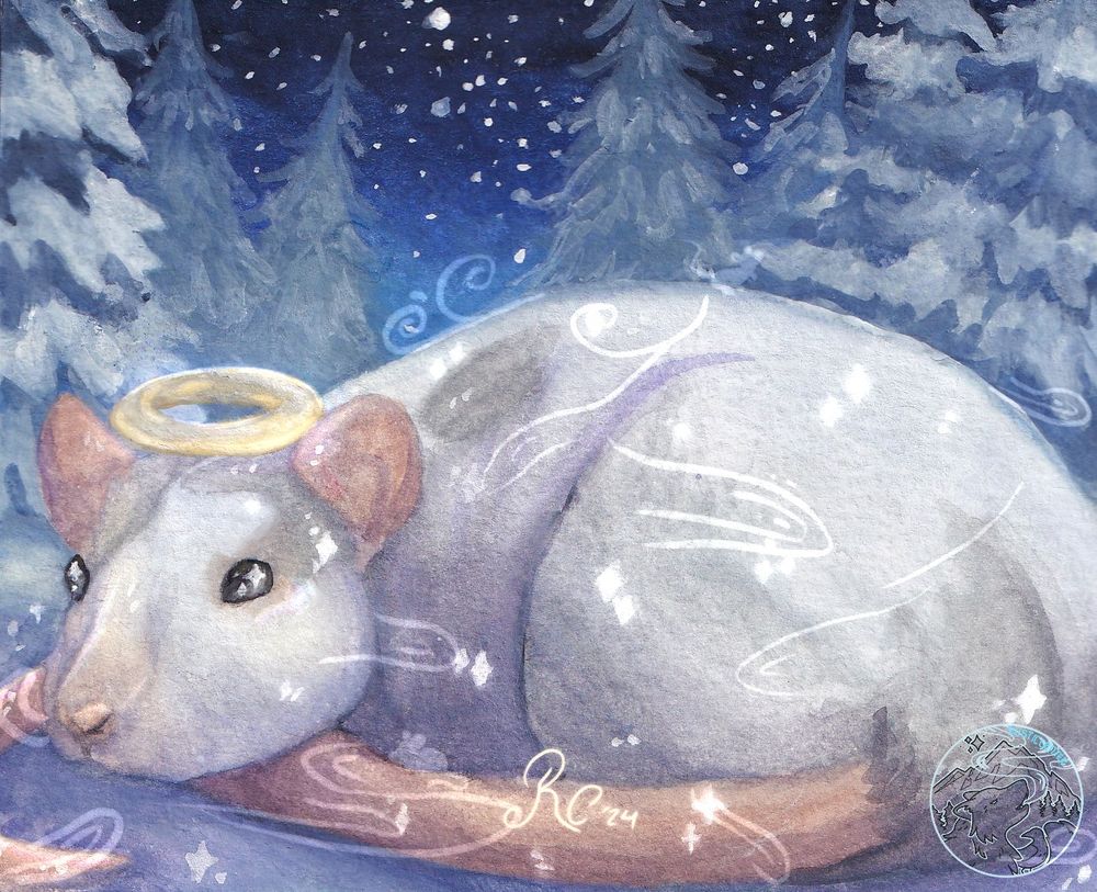 gouache painting of a rat in a snowy forest with a night sky with stars. Rat is white with light grey face markings and one small on his upper back with his tail tucked under his chin with a halo above his head