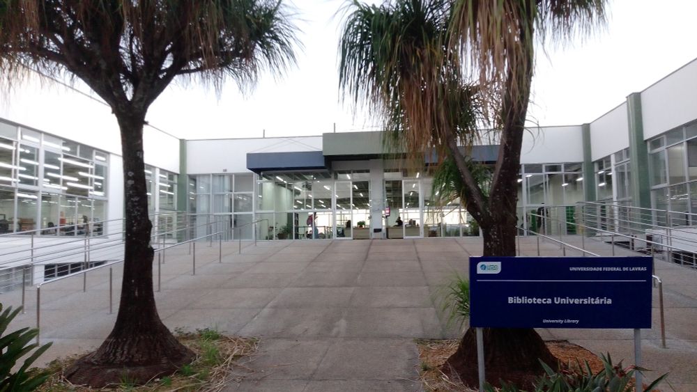 Ampla rampa de acesso ao prédio da biblioteca, visto ao fundo., entre duas árvores (estas em primeiro plano).