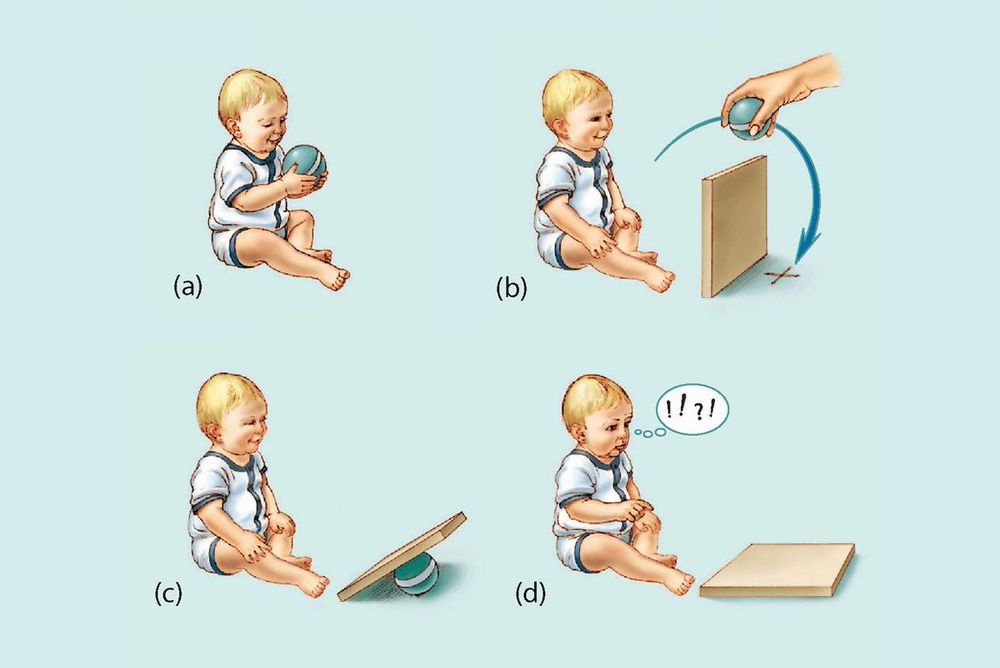 diagram of a baby displaying a lack of object permanence. from top left to bottom right the baby is holding a ball, then a hand moves the ball behind a piece of wood, then the wood is laying on top of the ball, and finally the baby looks confused only seeing the piece of wood.