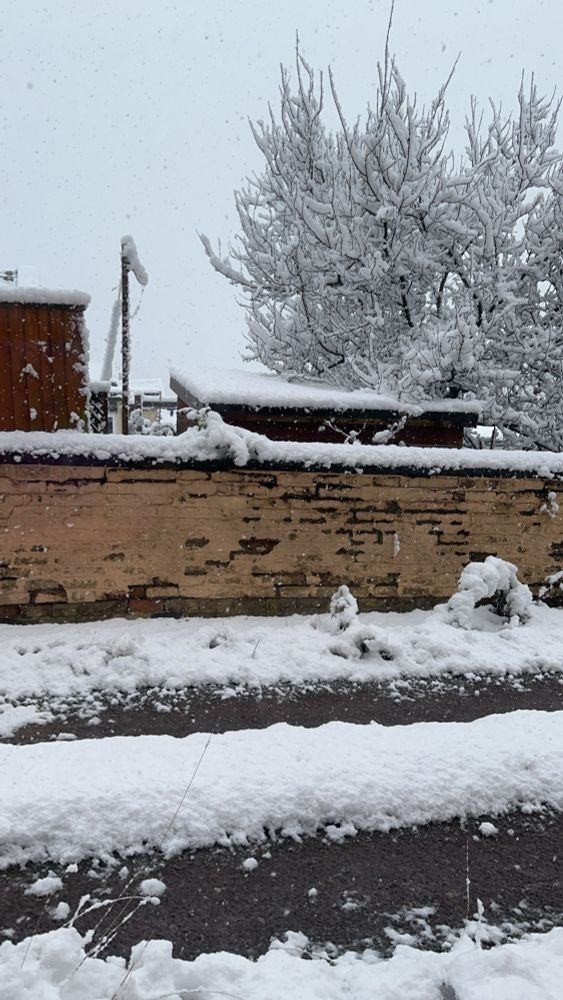A snowy scene outside my window, the path, wall and trees are covered in a couple of inches of snow. No sign of stopping yet either!