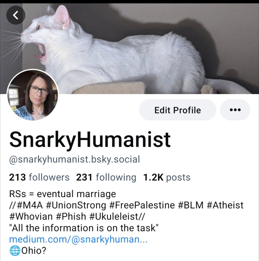 Screenshot of SnarkyHumanist's Bsky profile showing her followers at 213 and following at 231.
