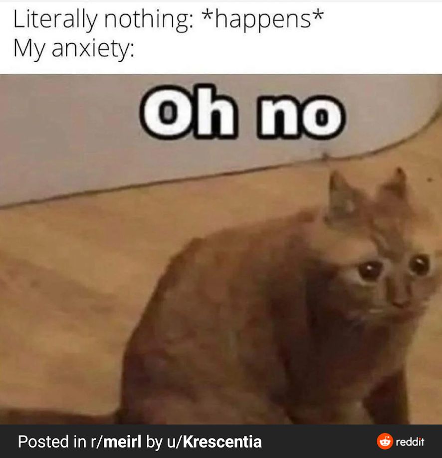 Text above picture: 
Literally nothing: *happens*
My anxiety:

Picture of an orange startled cat with the caption: "Oh no"