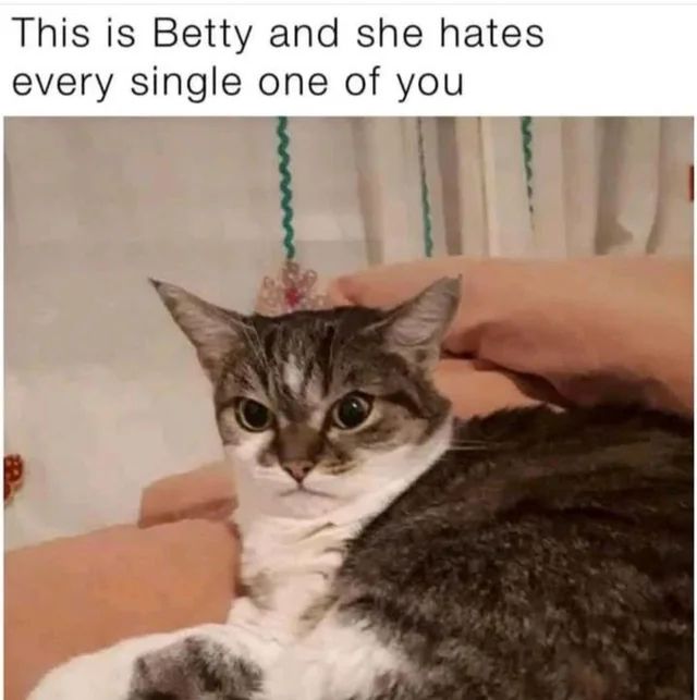 Comment image