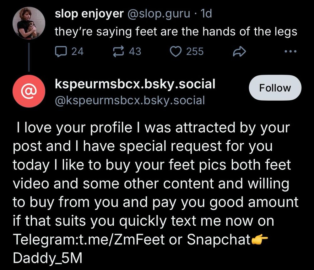 a reply to one of my posts: kspeurmsbcx.bsky.social @kspeurmsbcx.bsky.social Follow I love your profile I was attracted by your post and I have special request for you today I like to buy your feet pics both feet video and some other content and willing to buy from you and pay you good amount if that suits you quickly text me now on Telegram:t.me/ZmFeet or Snapchate
