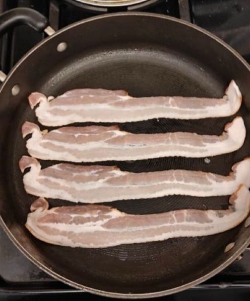 bacon that looks like the graphic depicting saddam hussein in his underground hiding place