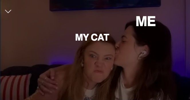A meme from Jen and Aliona's stream, with Jen looking angry while Aliona kisses her on the side of her head, with the text "My cat" above Jen and "me" above Aliona.