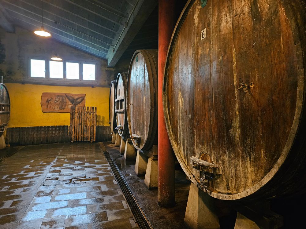 A dim room with bright yellow walls and a wet floor houses a row of large wood barrels.