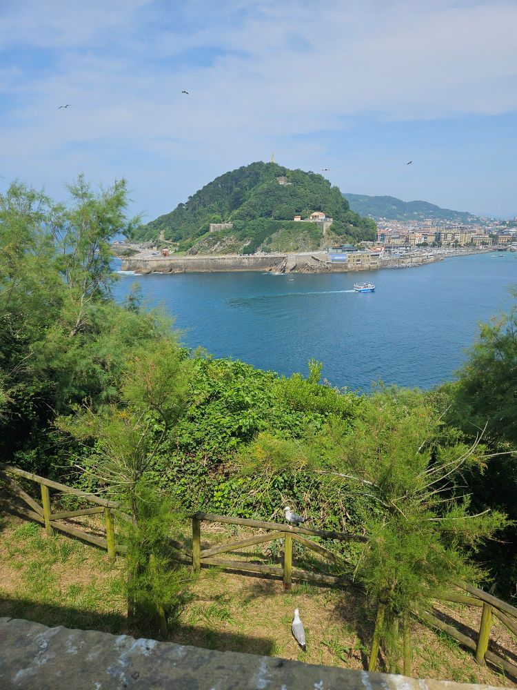 View from the top of Santa Clara Island (with some of the many seagull inhabitants) across a bay to the green hill of Urgull and the old town below.