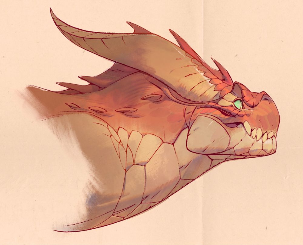 A drawing of a rust colored dragon’s head