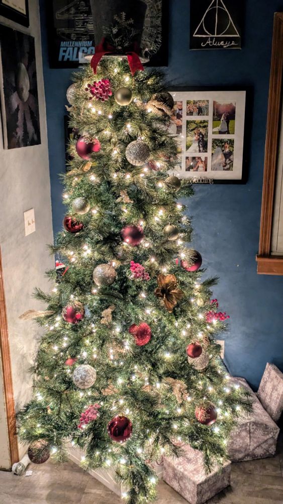 A Christmas tree with presents underneath.