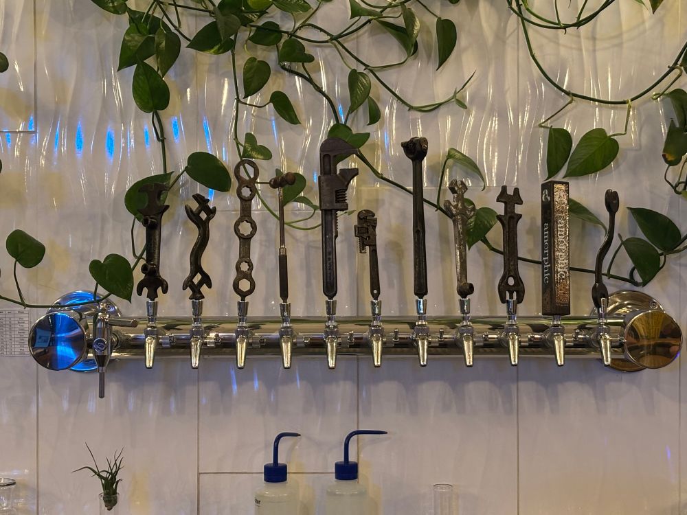 Amorphic Brewing in Milwaukee, featuring cow tools for taps